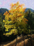 Aspen Hills