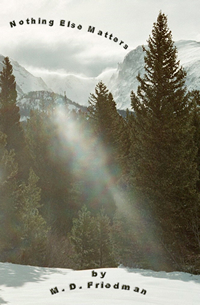 Click to preview Nothing Else Matters